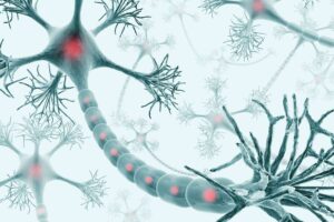 Terapia neural, ¿qué es, cómo se aplica y para qué sirve? | Pablo Bravo Fisioterapia